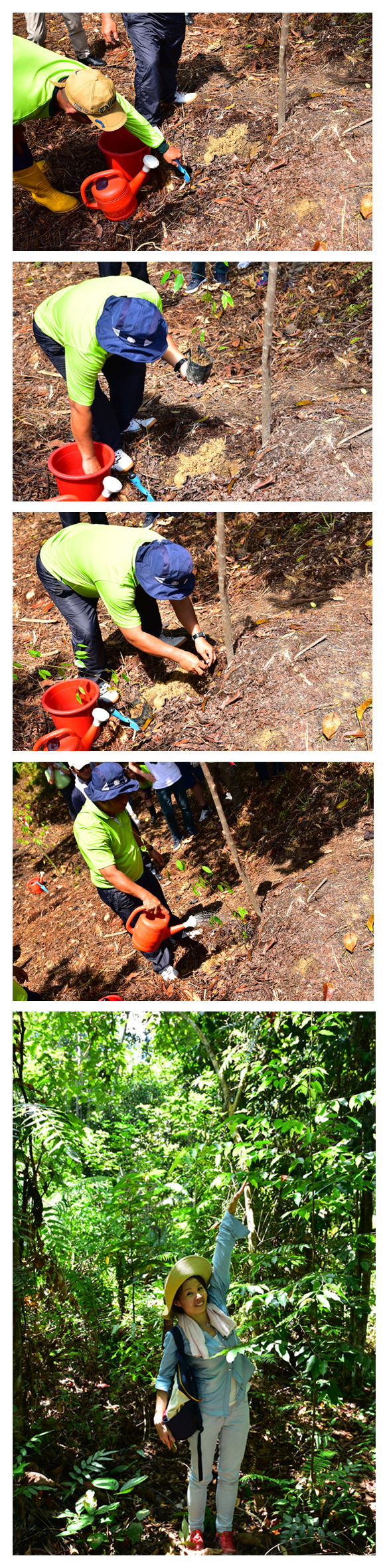 JAC Recruitment Hong Kong - PPP Tour Planting Efforts JA